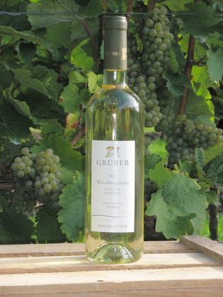 Rivaner Aspisheimer Johannisberg Rivaner