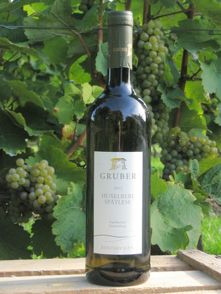 Bacchus Aspisheimer Sonnenberg Bacchus