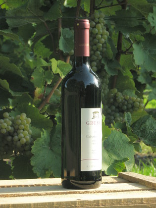 Cabernet Dorsa Aspisheimer Sonnenberg Cabernet Dorsa