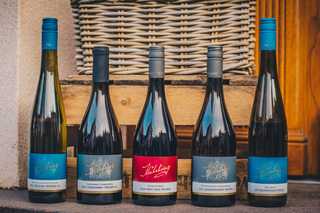 Sp&auml;tburgunder Rotwein  Sp&auml;tburgunder