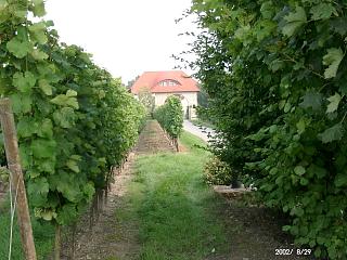 Weingut Gruber